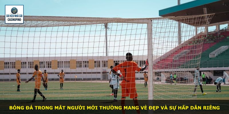 Bóng đá trong mắt người mới thường mang vẻ đẹp và sự hấp dẫn riêng